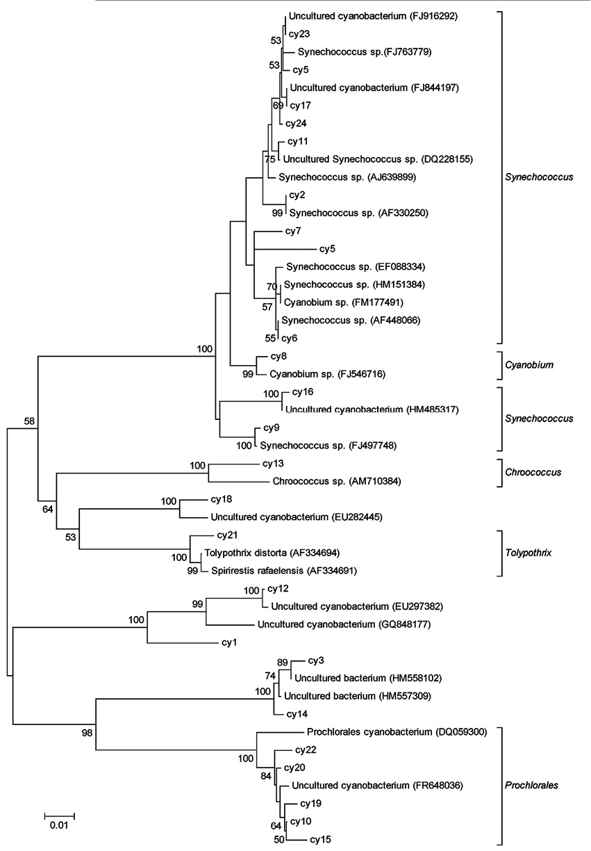 sm4106fig7.jpg
