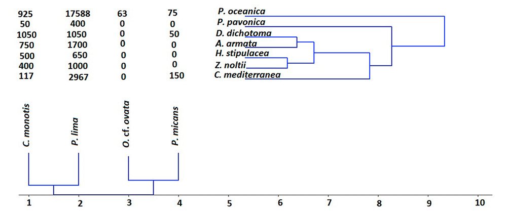 sm4651fig4