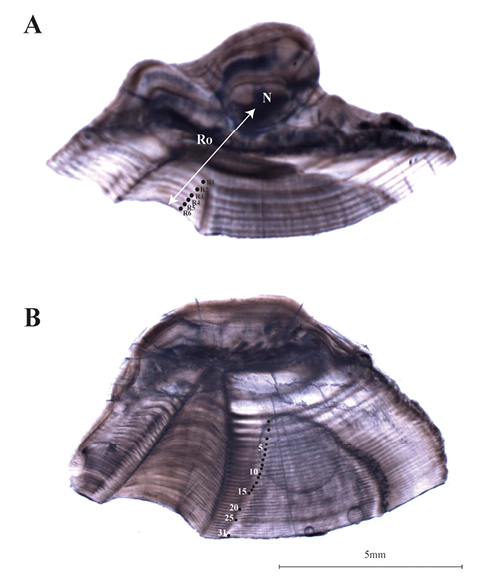 figure1