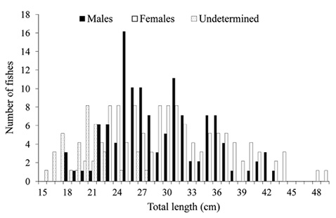 figure2