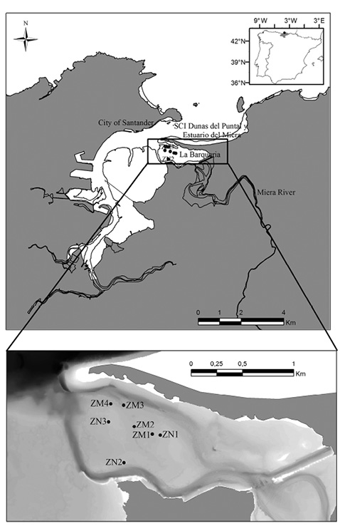 figure1