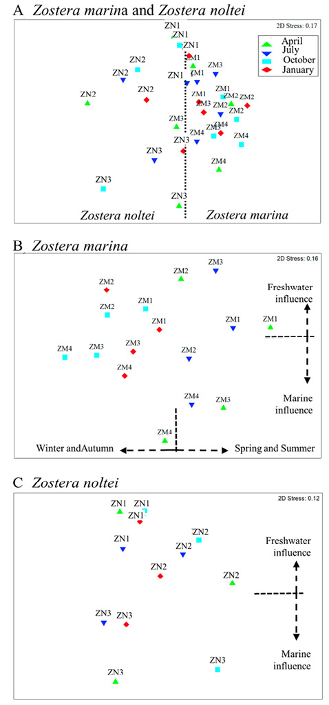 figure6