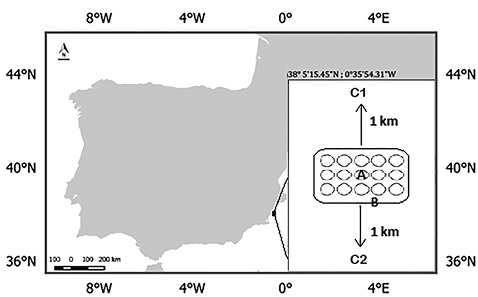 figure1