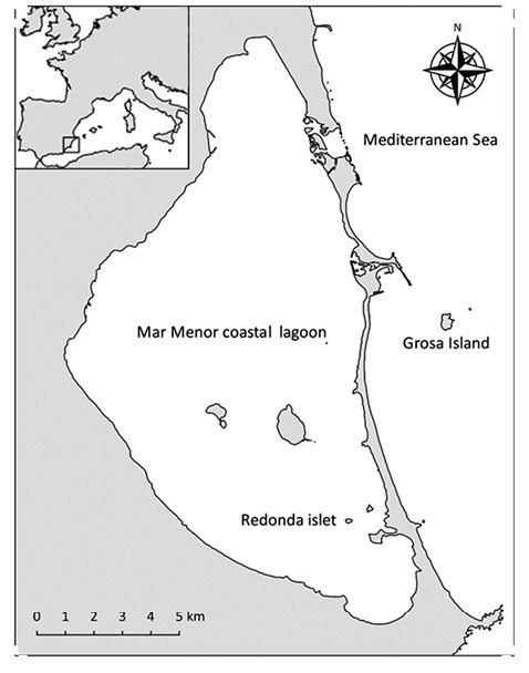 figure1