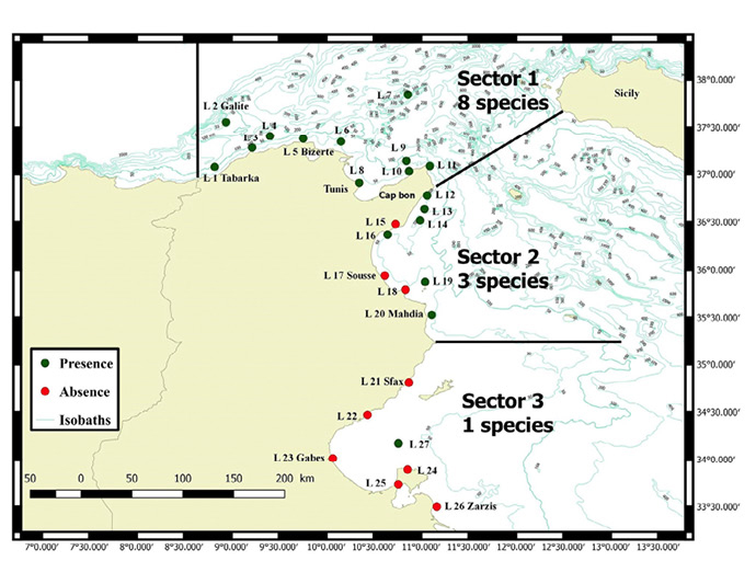 figure2