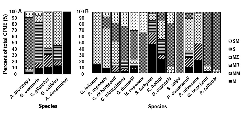 figure5