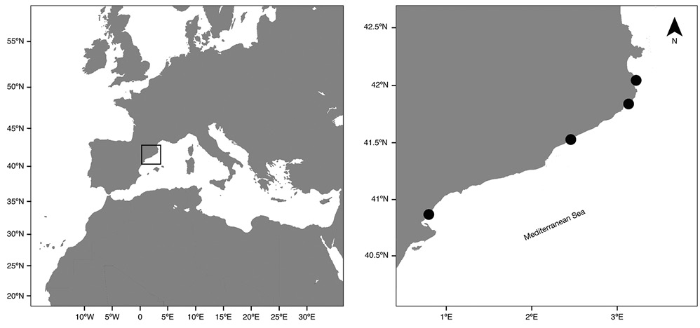 figure1