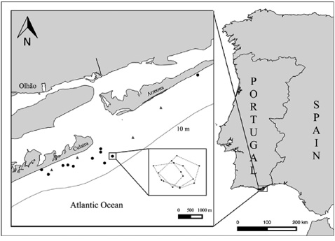 figure1