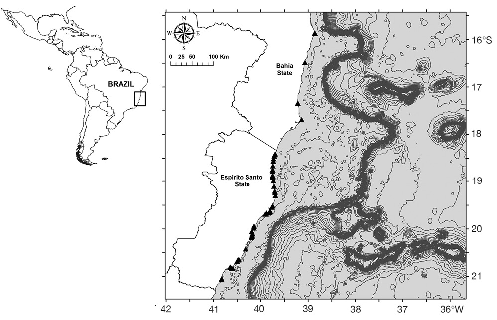 figure1