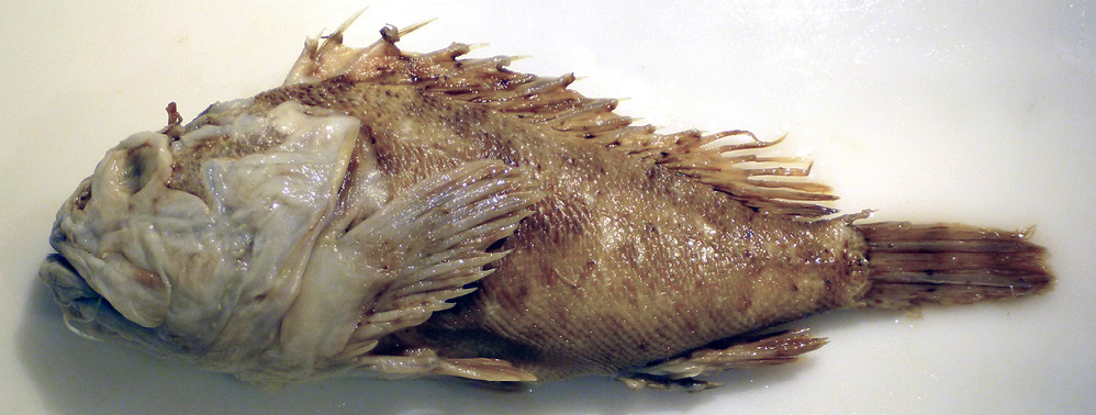figure4