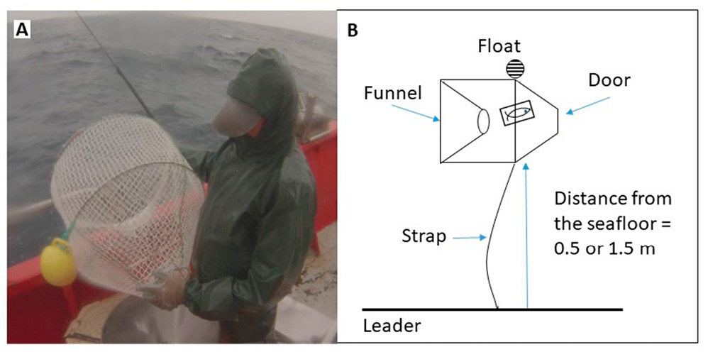 figure1