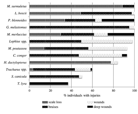 figure2