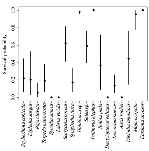 figure6