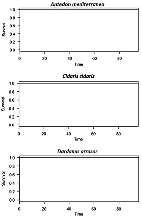 figure2