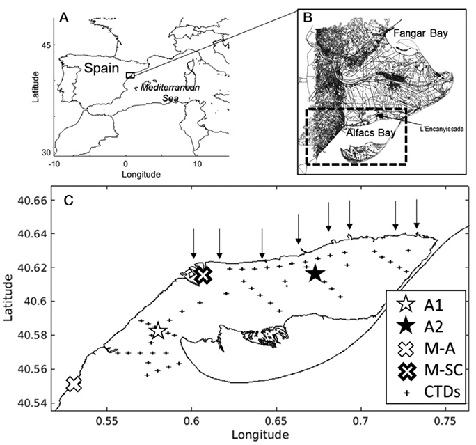 figure1