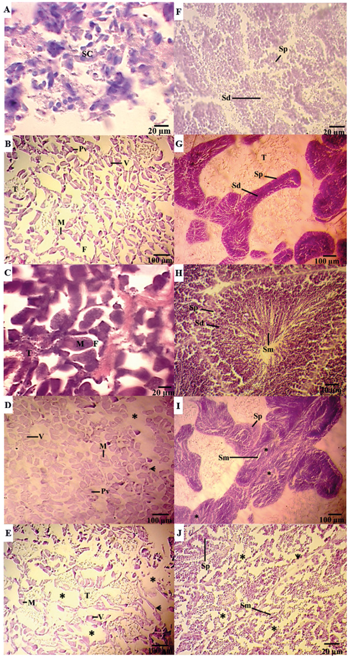 figure3