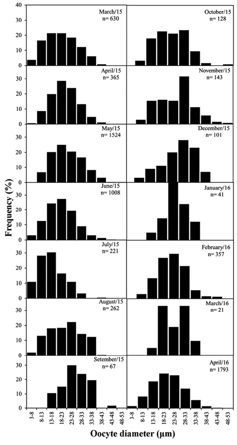 figure6