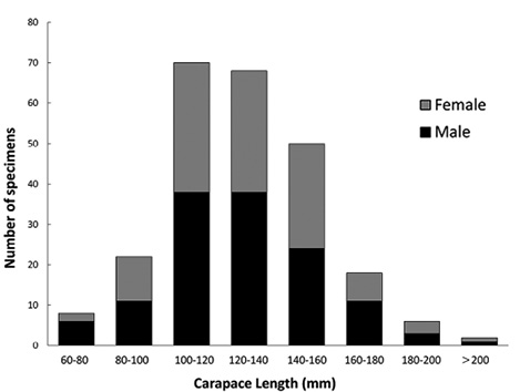 figure5