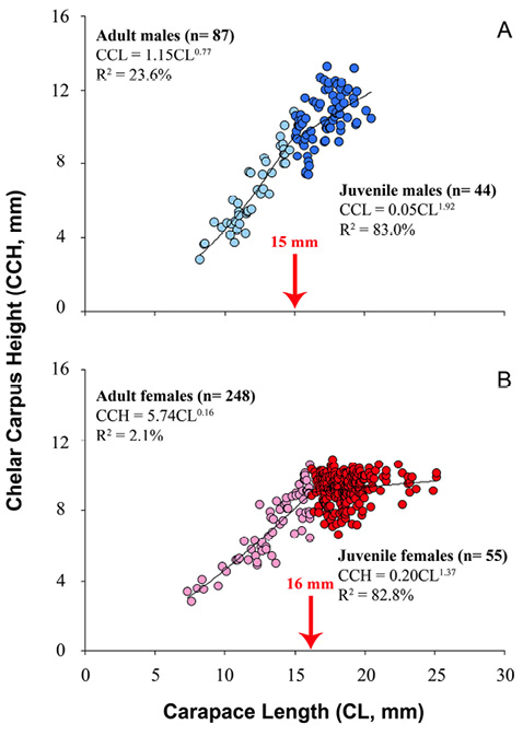 figure4