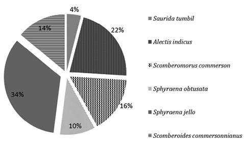 figure4