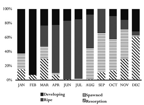 figure2