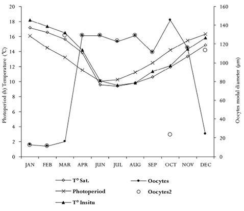 figure4