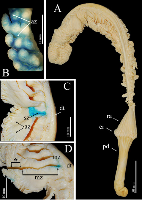 figure2
