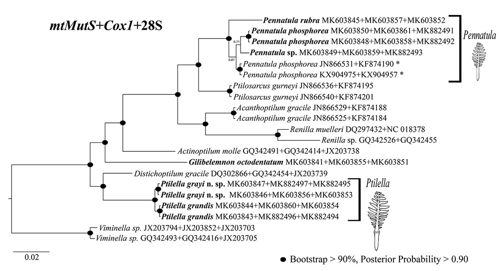 figure5