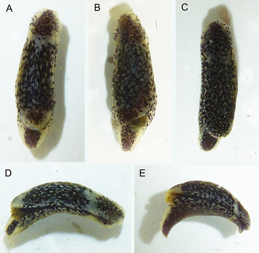 figure3