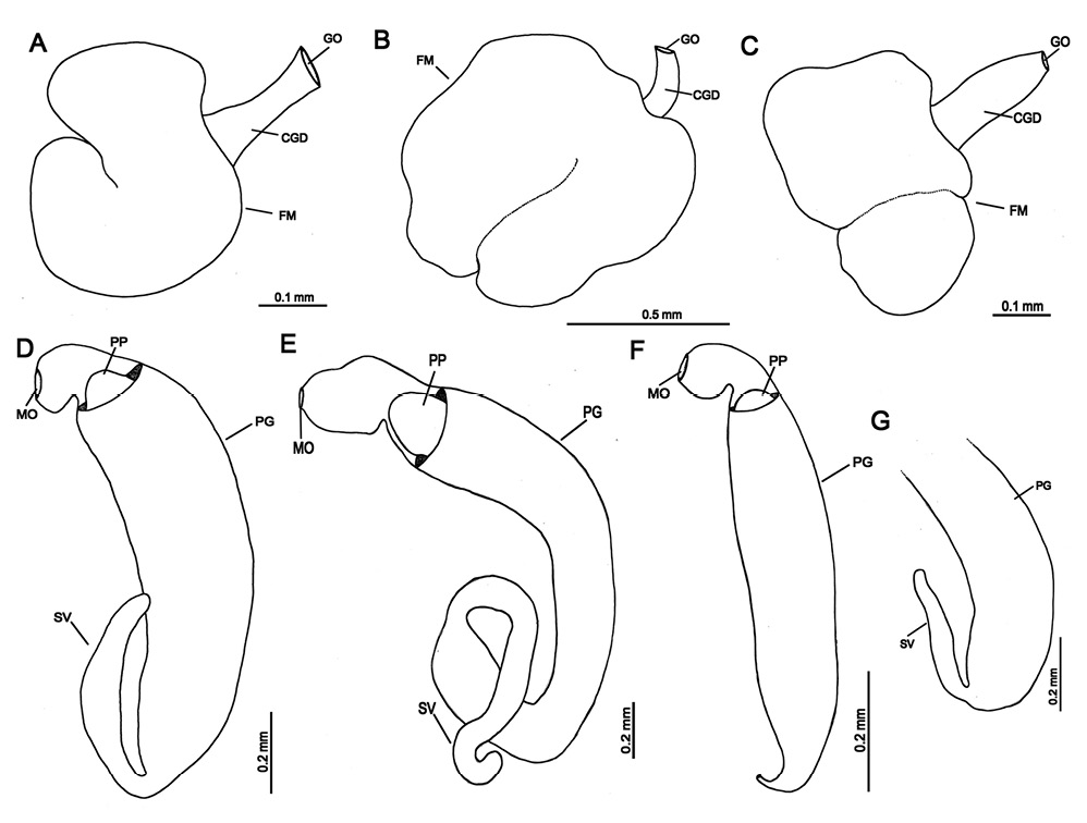 figure6