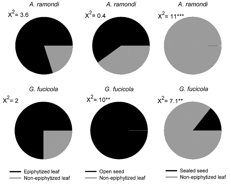 figure2
