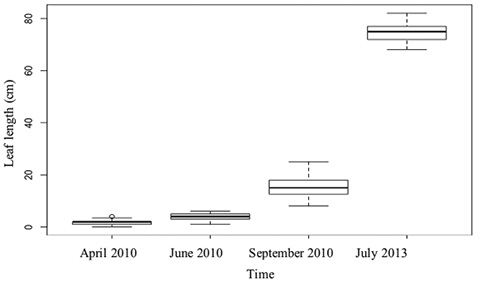 figure4