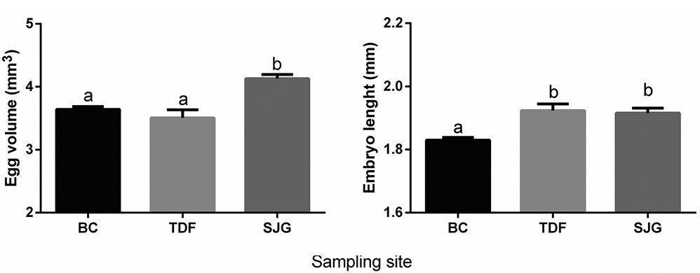 figure6