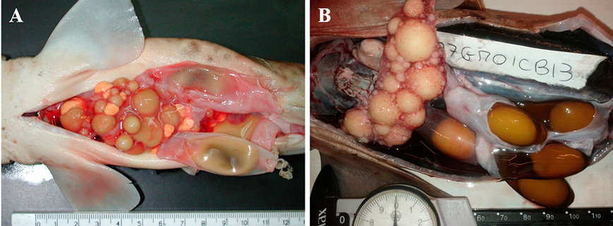 figure2
