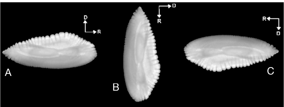 figure3