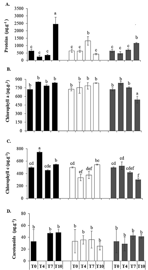 figure3