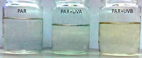 figure7
