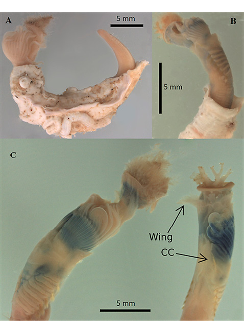 figure3