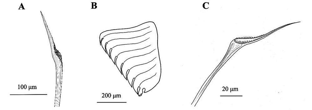 figure6