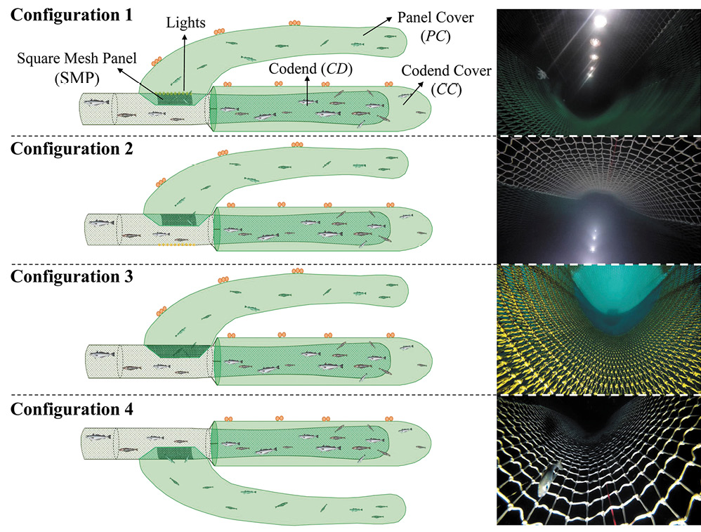 figure2