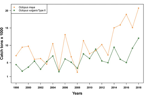 figure1