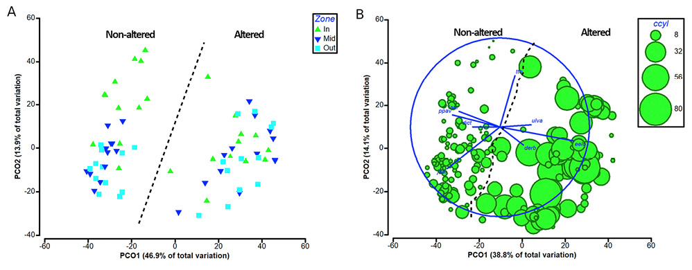 figure4