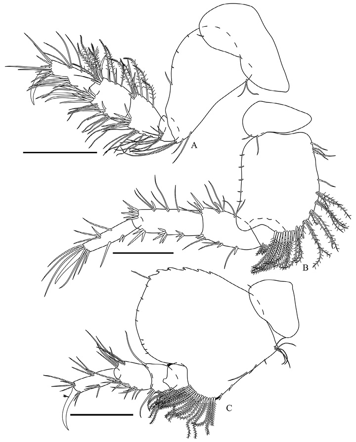 figure4
