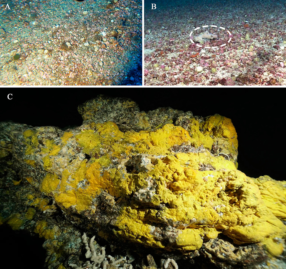 figure2