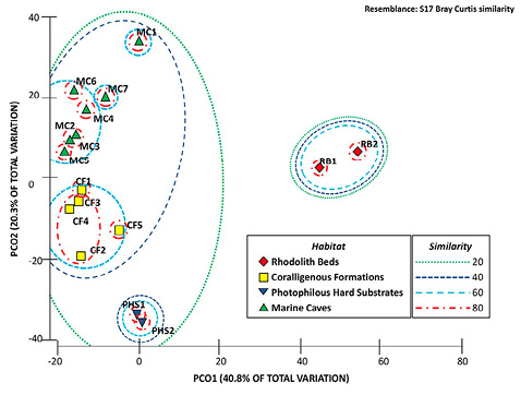 figure4