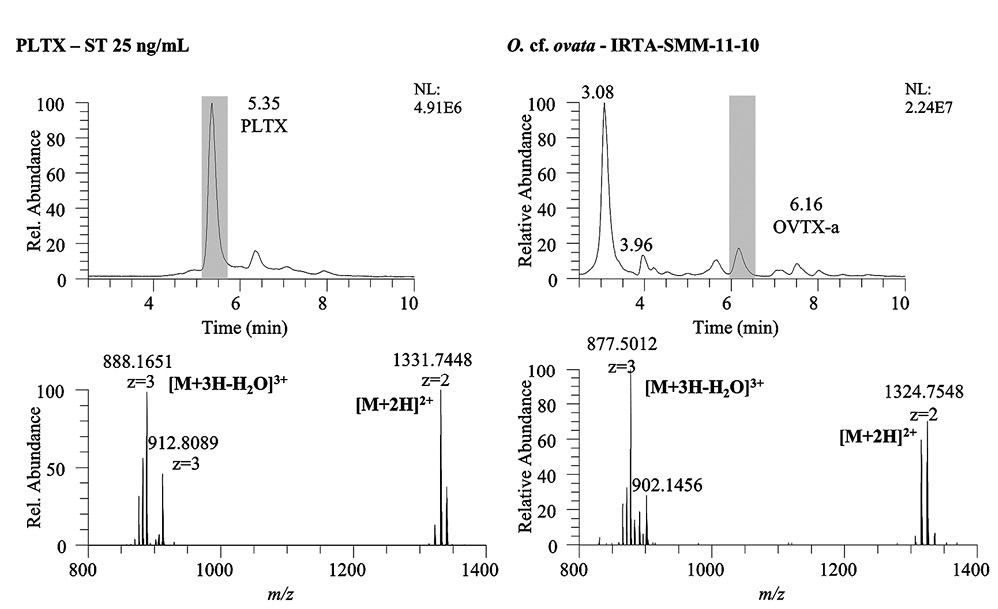 figure6