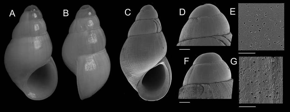 figure3