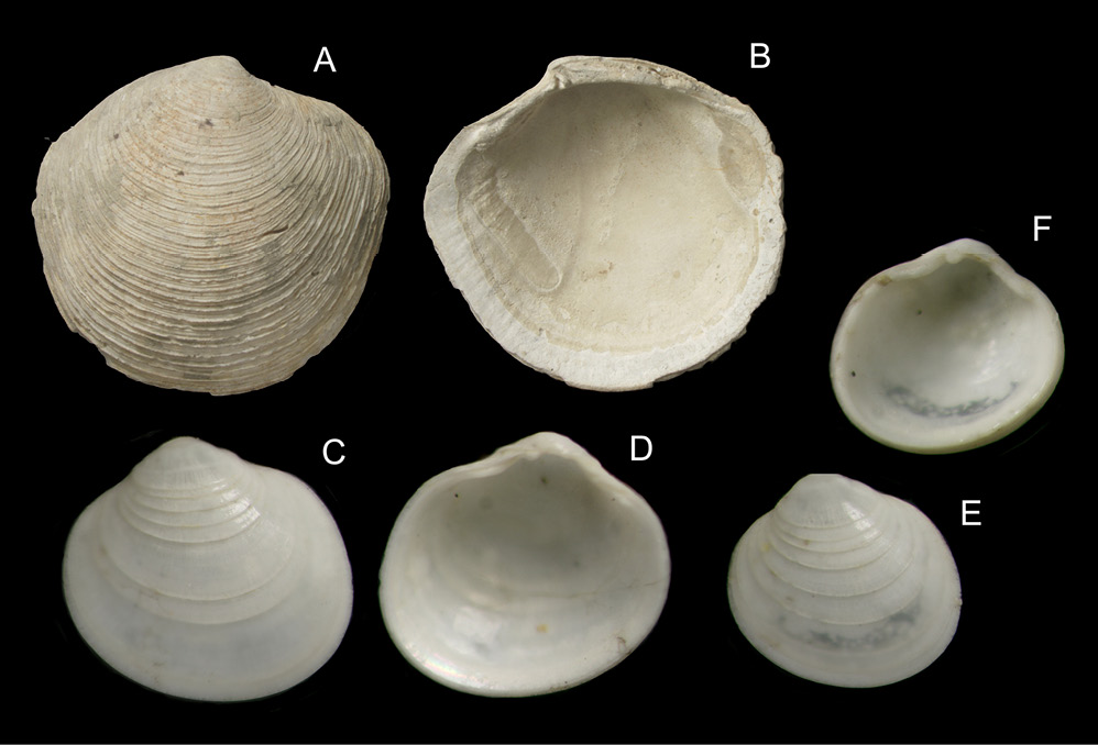 figure5