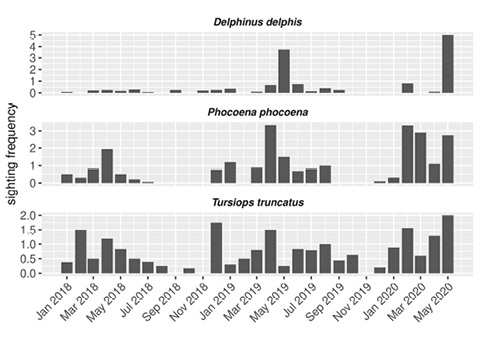 figure4