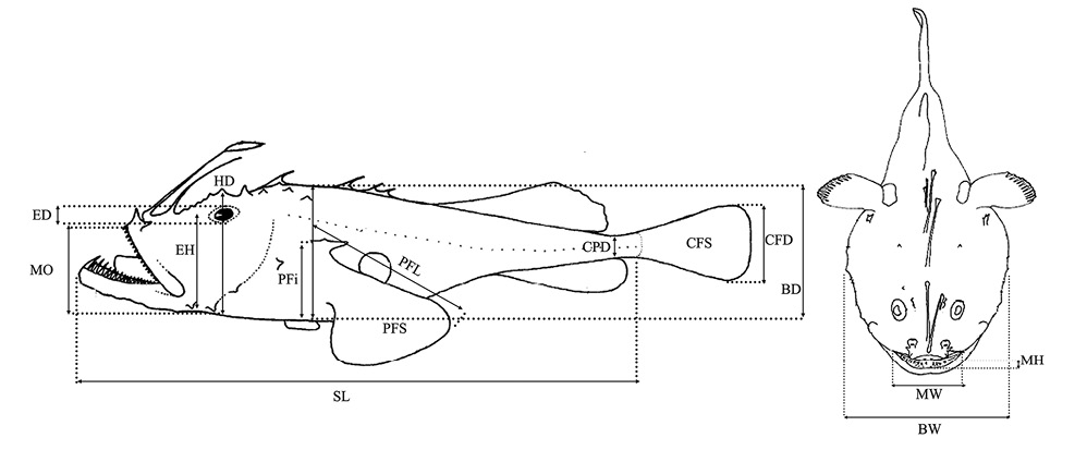 figure3